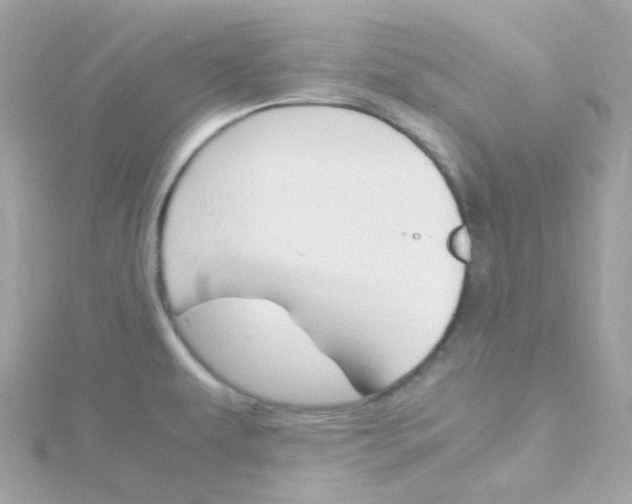 X0000115701479200911251824