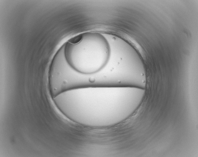 X0000115701483200911251823