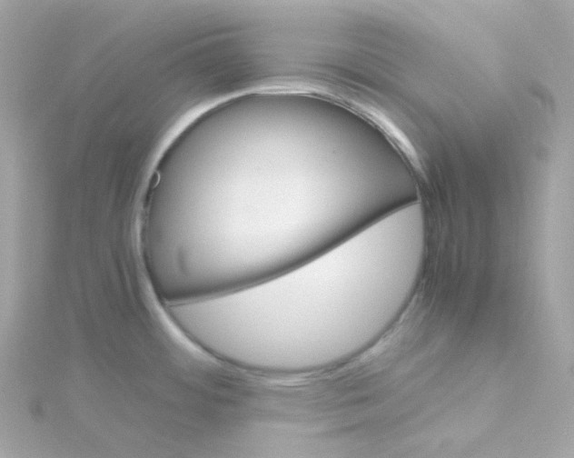 X0000115701484200911251823