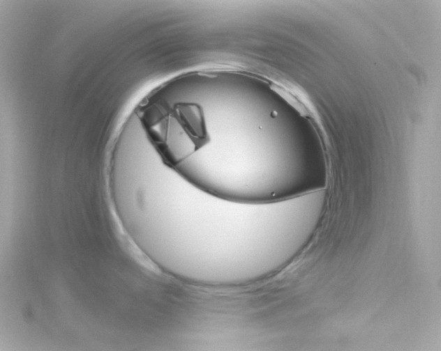 X0000115701488200911251823