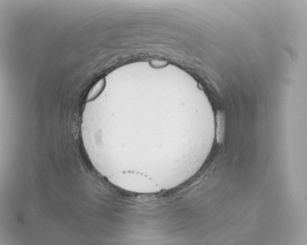 X0000115701491200911251823