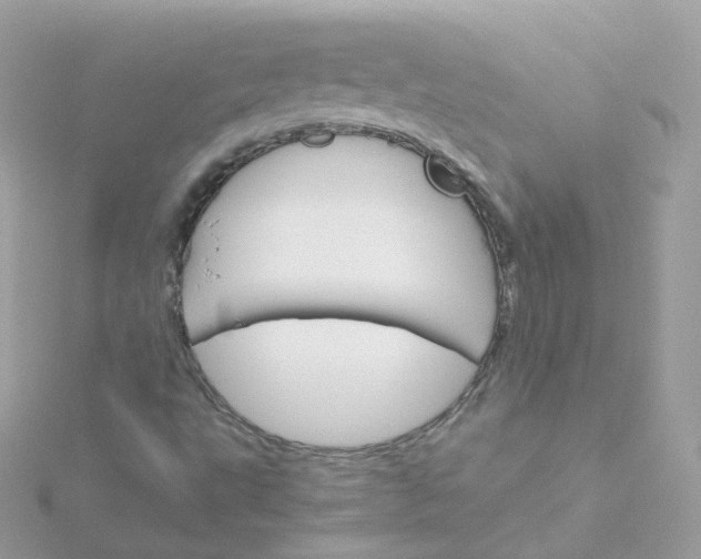 X0000115701495200911251823