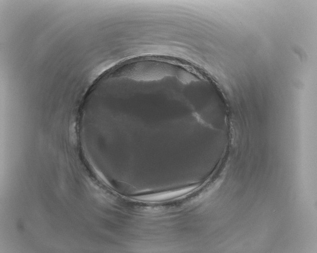 X0000115701497200911251823