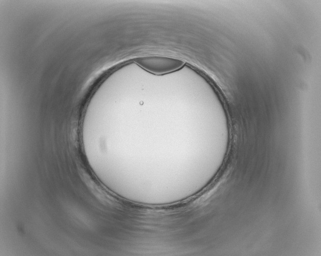 X0000115701499200911251823