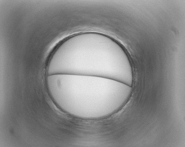 X0000115701503200911251823