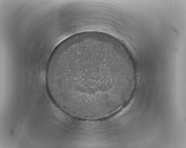 X0000115701505200911251823