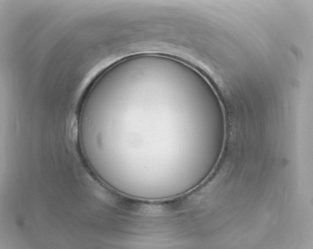 X0000115701509200911251823