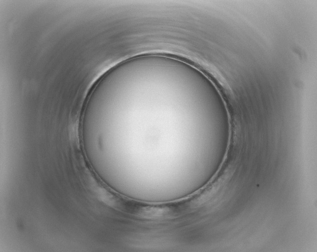 X0000115701513200911251823