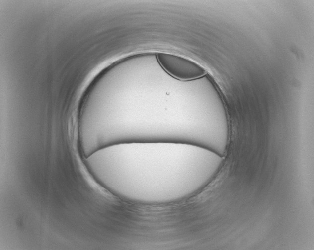 X0000115701515200911251823