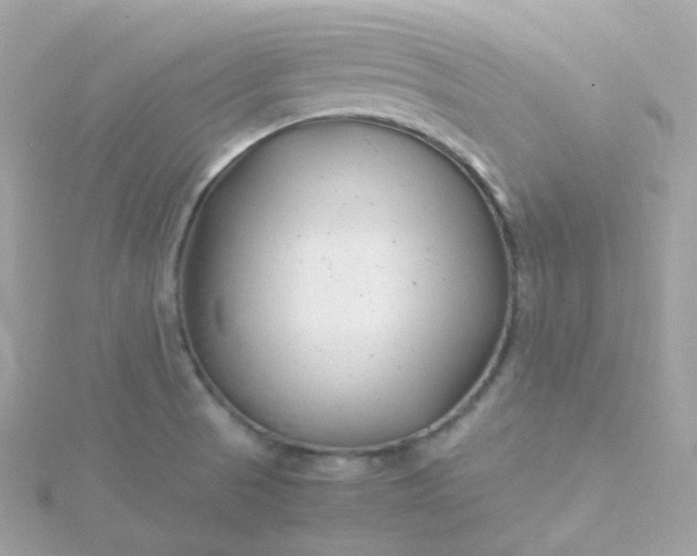 X0000115701521200911251823