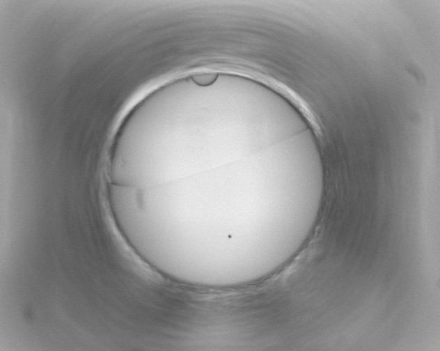 X0000115701522200911251823