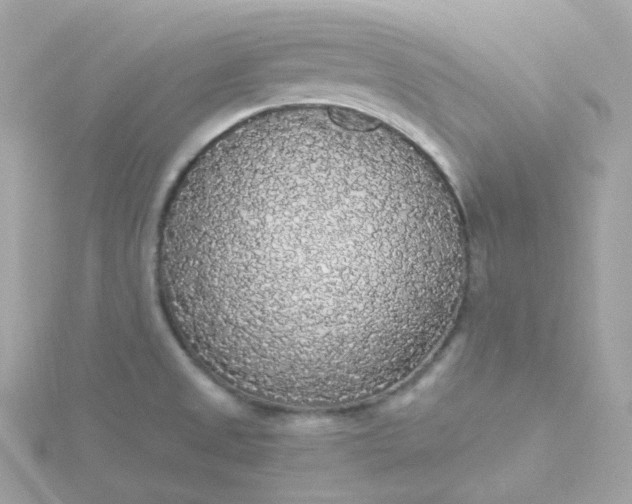 X0000115701525200911251823