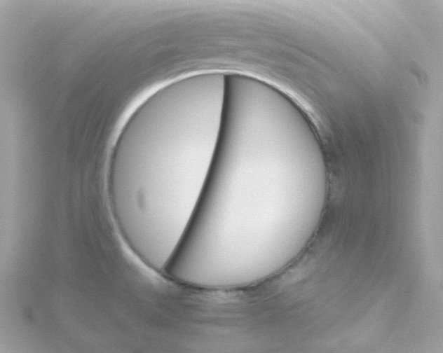 X0000115701527200911251823