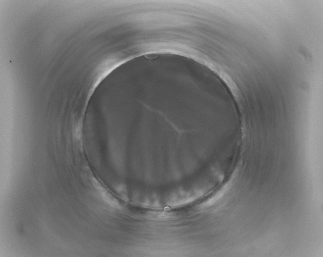 X0000115701529200911251823