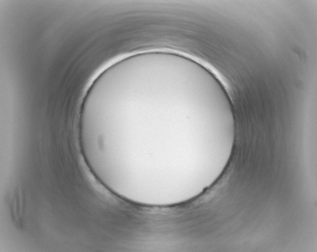 X0000115701534200911251823