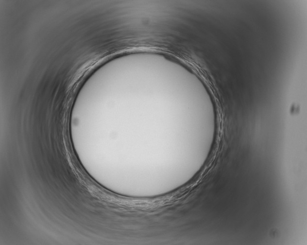 X0000115700001200912031516