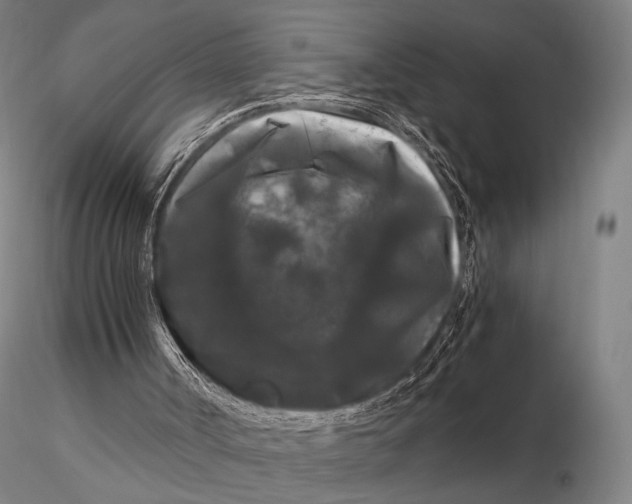 X0000115700002200912031516