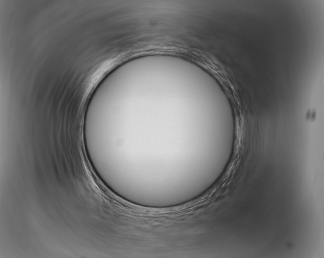 X0000115700003200912031516