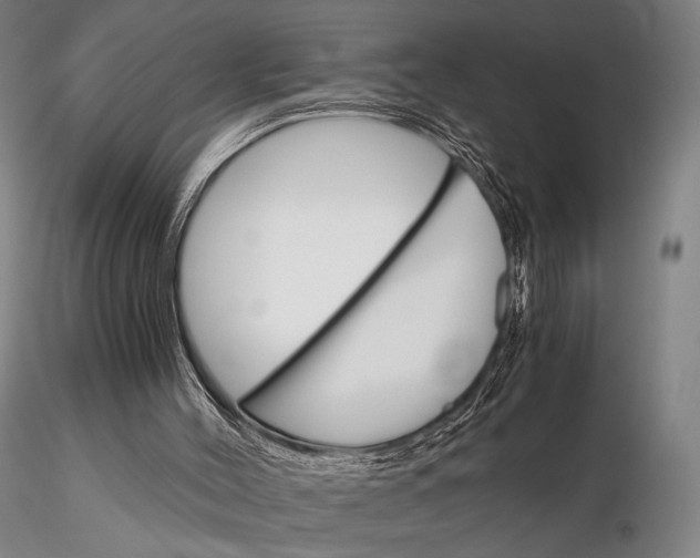 X0000115700004200912031516