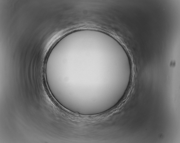 X0000115700007200912031516