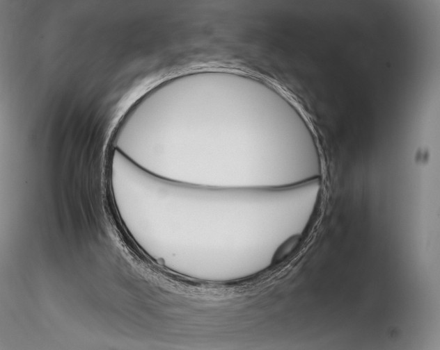 X0000115700008200912031516