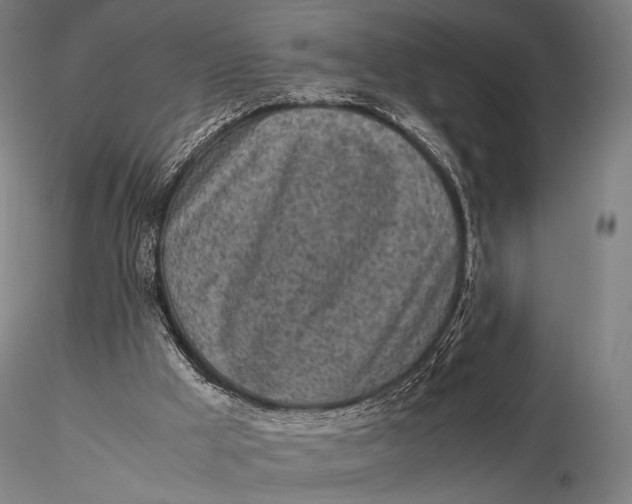 X0000115700009200912031516