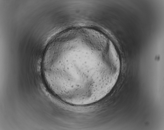 X0000115700010200912031516