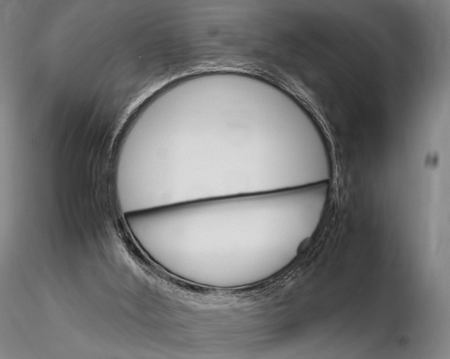 X0000115700012200912031516