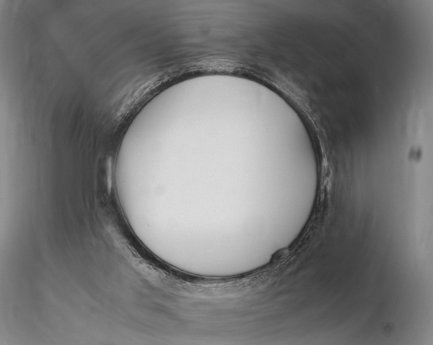 X0000115700013200912031516