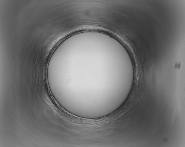 X0000115700015200912031516