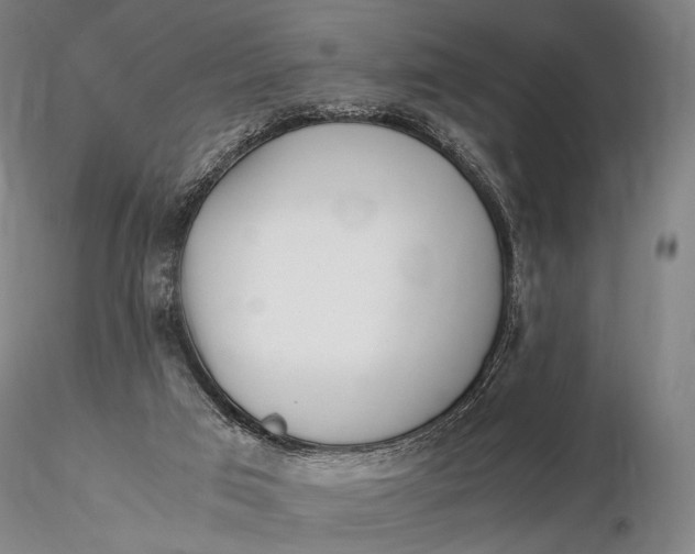 X0000115700017200912031516