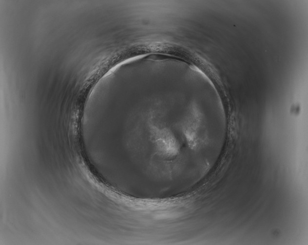 X0000115700018200912031516