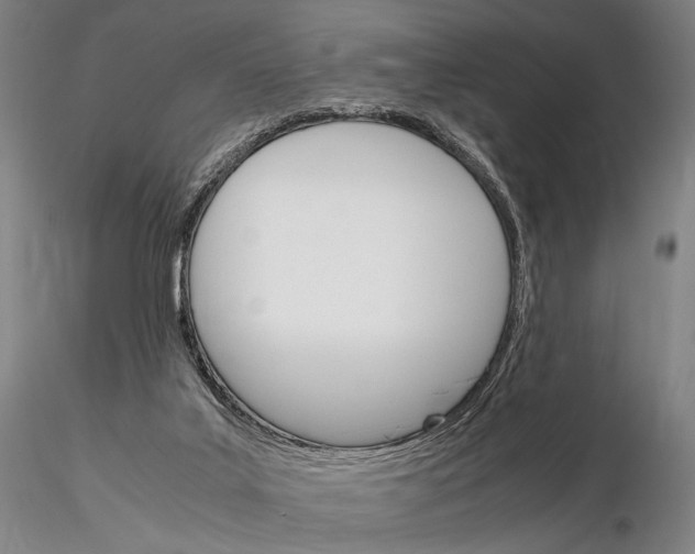 X0000115700019200912031516