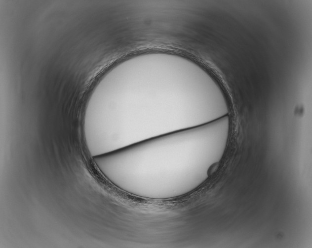 X0000115700020200912031516