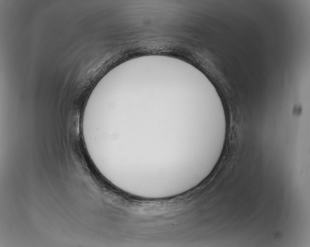 X0000115700021200912031516