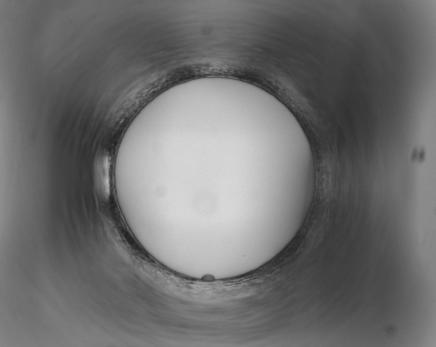 X0000115700022200912031516