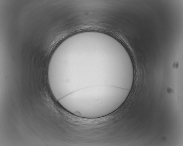 X0000115700023200912031516