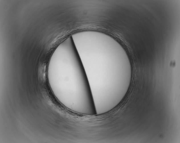 X0000115700024200912031516