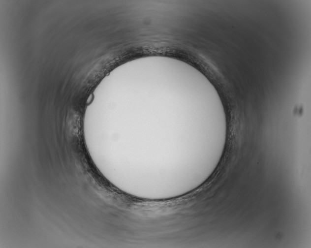 X0000115700025200912031516