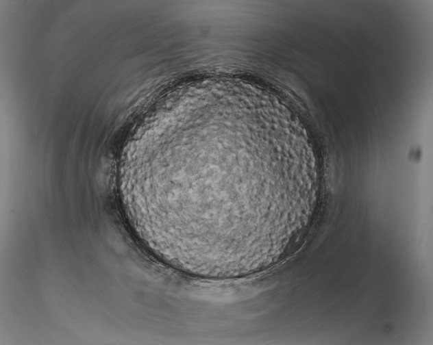 X0000115700029200912031516