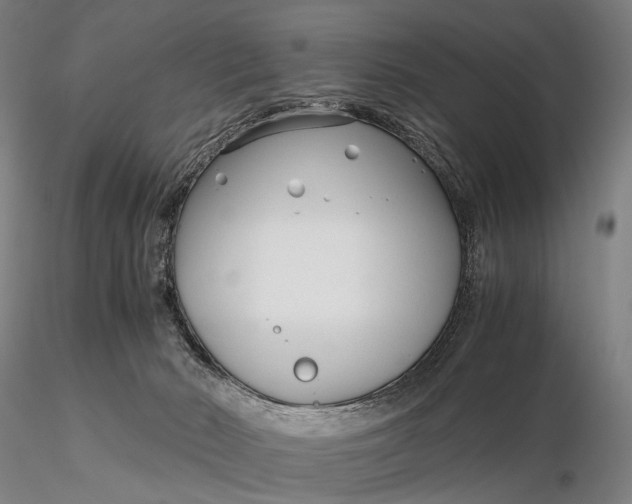 X0000115700030200912031516