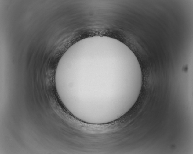 X0000115700034200912031516