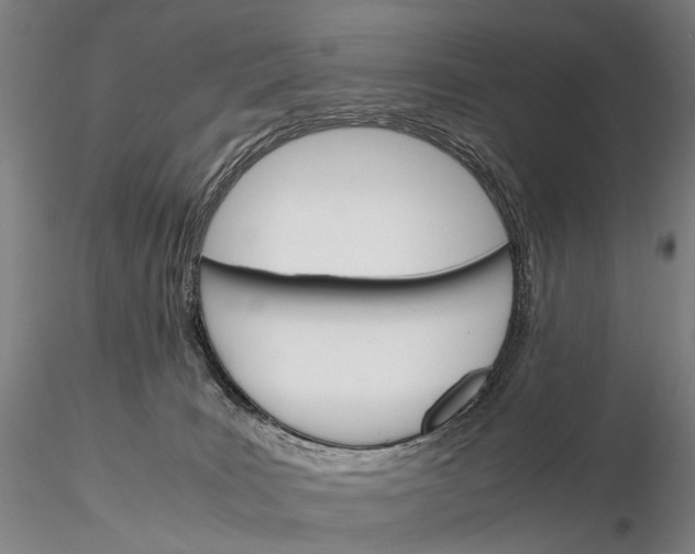 X0000115700035200912031516