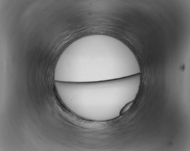 X0000115700036200912031516