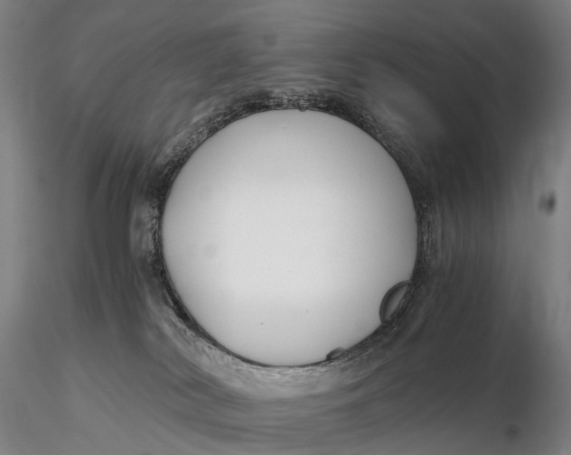 X0000115700038200912031516