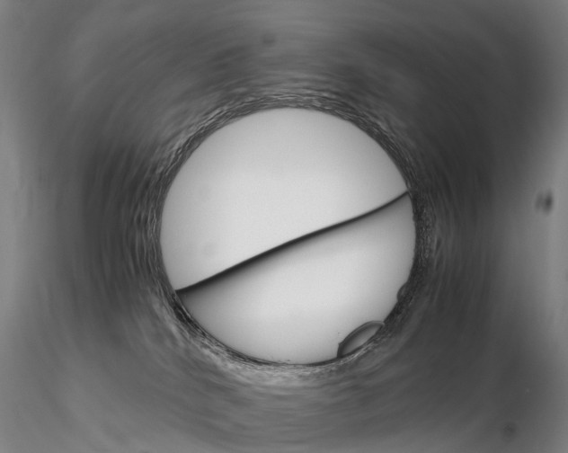 X0000115700040200912031515