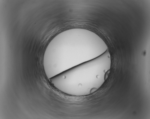 X0000115700044200912031515