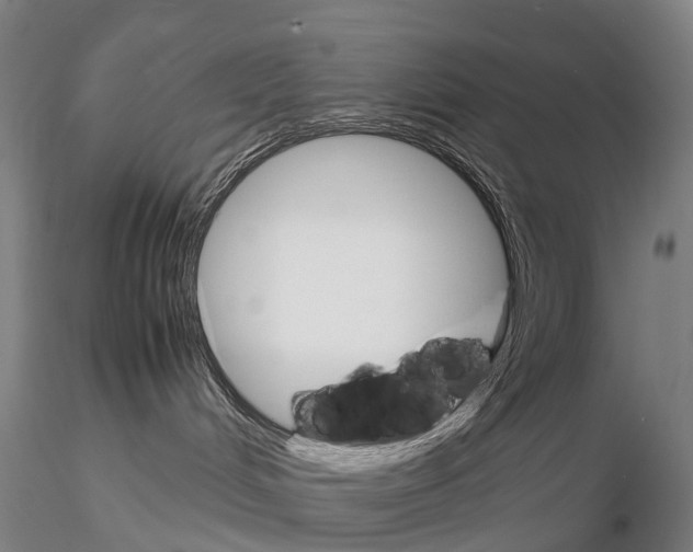 X0000115700048200912031515