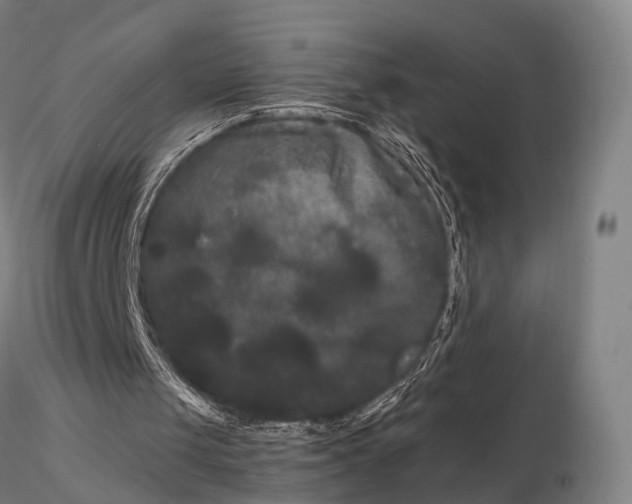 X0000115700049200912031515