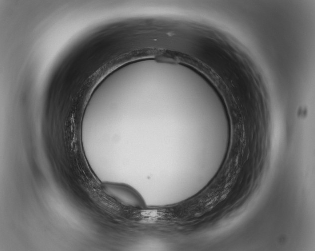 X0000115700050200912031515